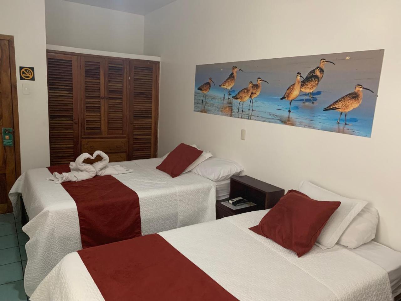 Hostal Costa Del Pacifico プエルトアヨラ エクステリア 写真